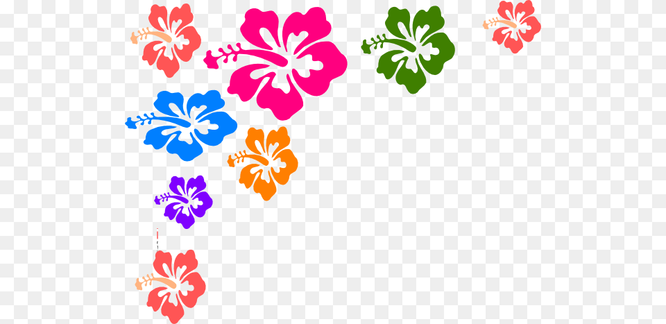 Flowers Color Clipart, Flower, Hibiscus, Plant Png Image