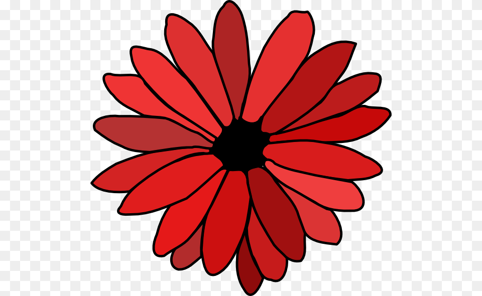Flowers Color Clipart Basic Flower, Dahlia, Daisy, Petal, Plant Free Transparent Png