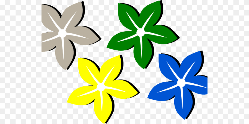Flowers Color Clipart Small Flower, Plant, Leaf, Pattern, Daffodil Free Png