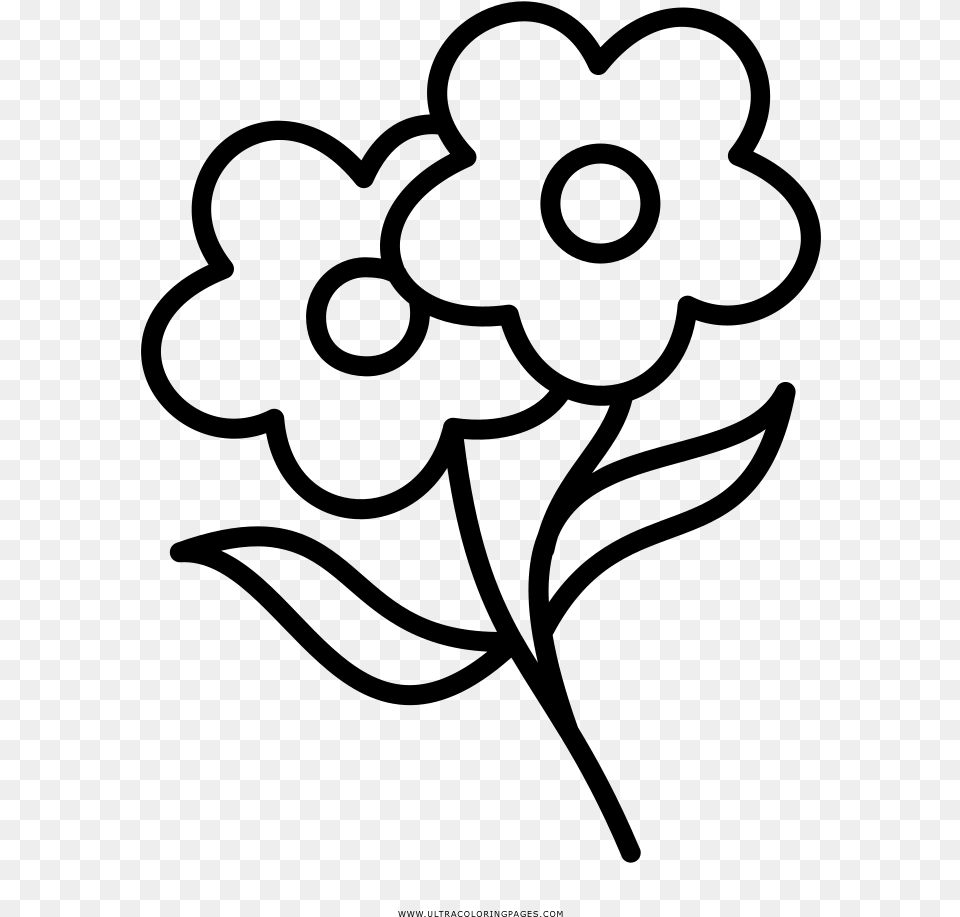 Flowers Coloring, Gray Free Png