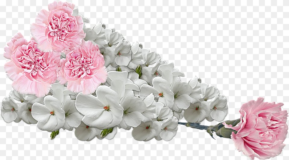 Flowers Composition Free Png Download