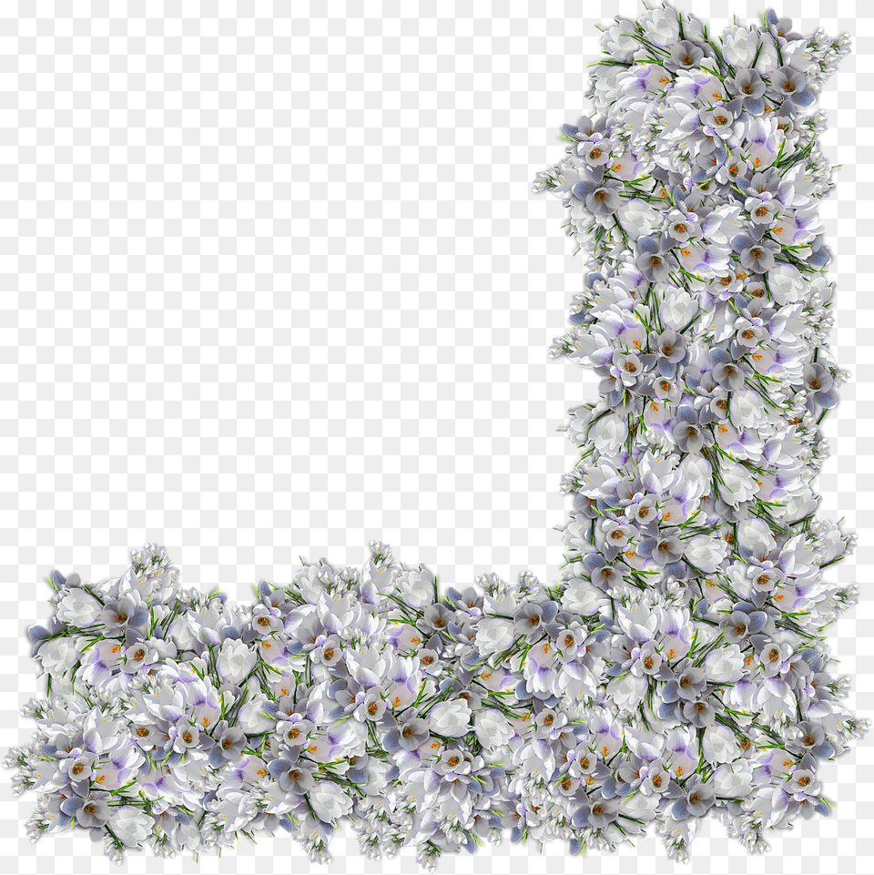 Flowers Corner Clipping Scrap Graphics, Flower, Flower Arrangement, Plant, Art Free Transparent Png