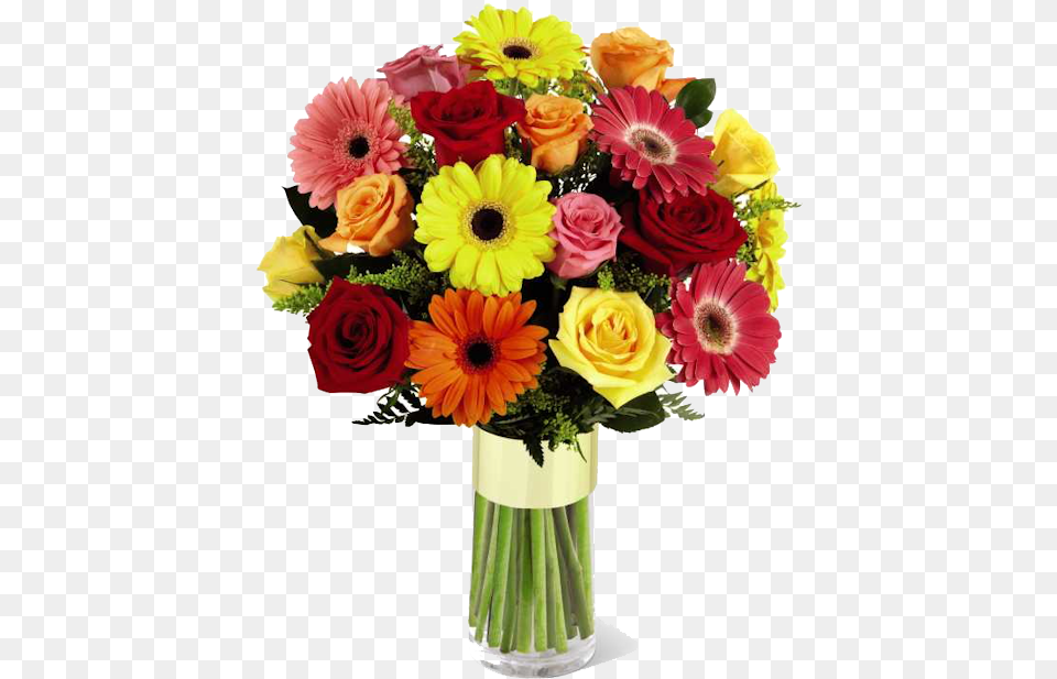 Flowers Daisies And Roses, Plant, Flower, Flower Arrangement, Flower Bouquet Png