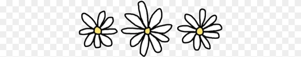 Flowers Daisy And Tumblr Transparent Daisy, Flower, Plant Png Image