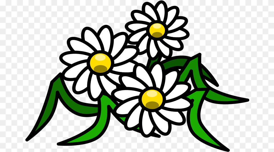 Flowers Daisy White Floral Blossom Bloom Beauty White Flower Clipart, Plant Png