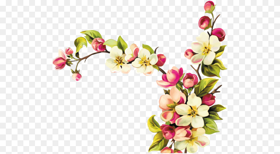 Flowers Design Vector, Accessories, Flower, Flower Arrangement, Plant Free Png