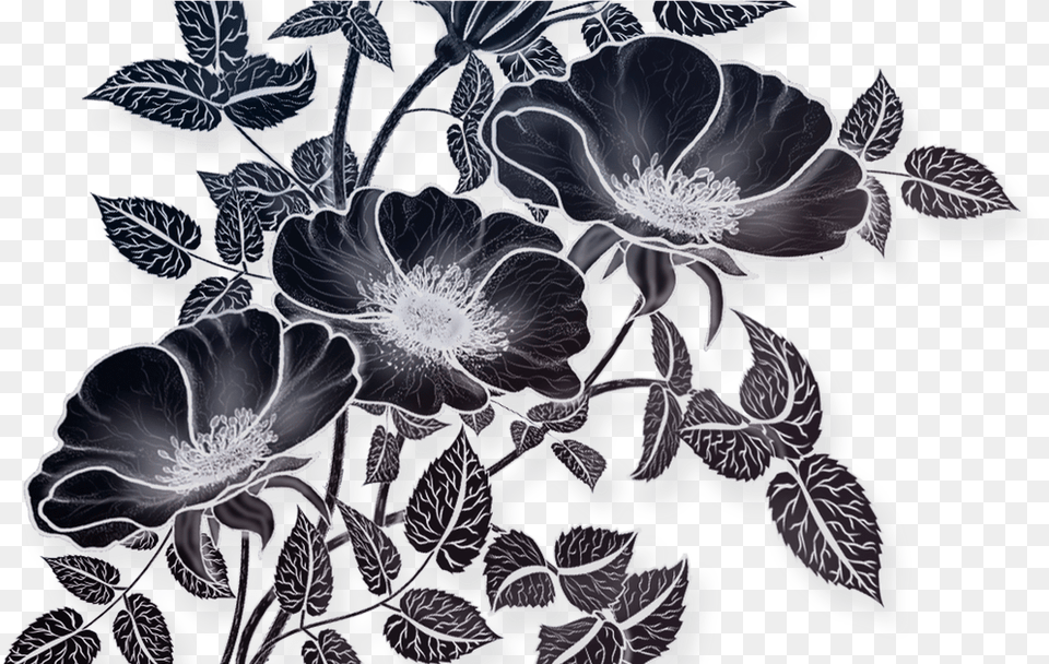 Flowers Drawing Illustration File Vectors Flowers Drawing, Art, Floral Design, Graphics, Pattern Free Png