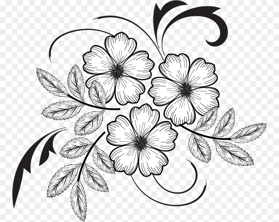 Flowers Drawing Illustrations File Easy Flower White Flower Embroidery, Art, Floral Design, Graphics, Pattern Free Transparent Png