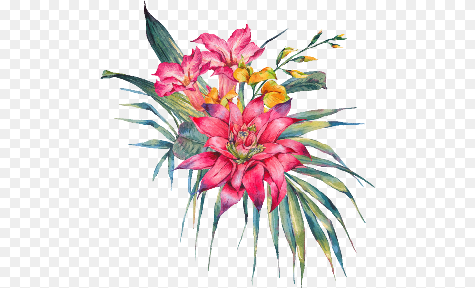 Flowers Exotic Flowers Pink, Flower, Flower Arrangement, Flower Bouquet, Plant Free Png Download
