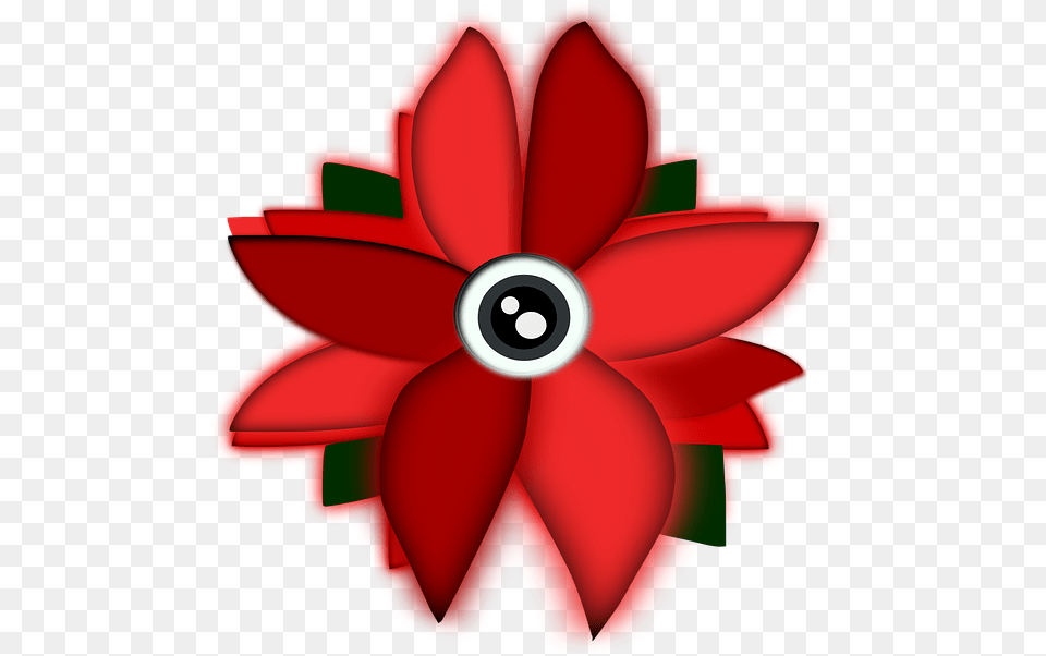 Flowers Eye Flower Vector Graphic On Pixabay Illustration, Dahlia, Plant, Anemone, Daisy Free Transparent Png
