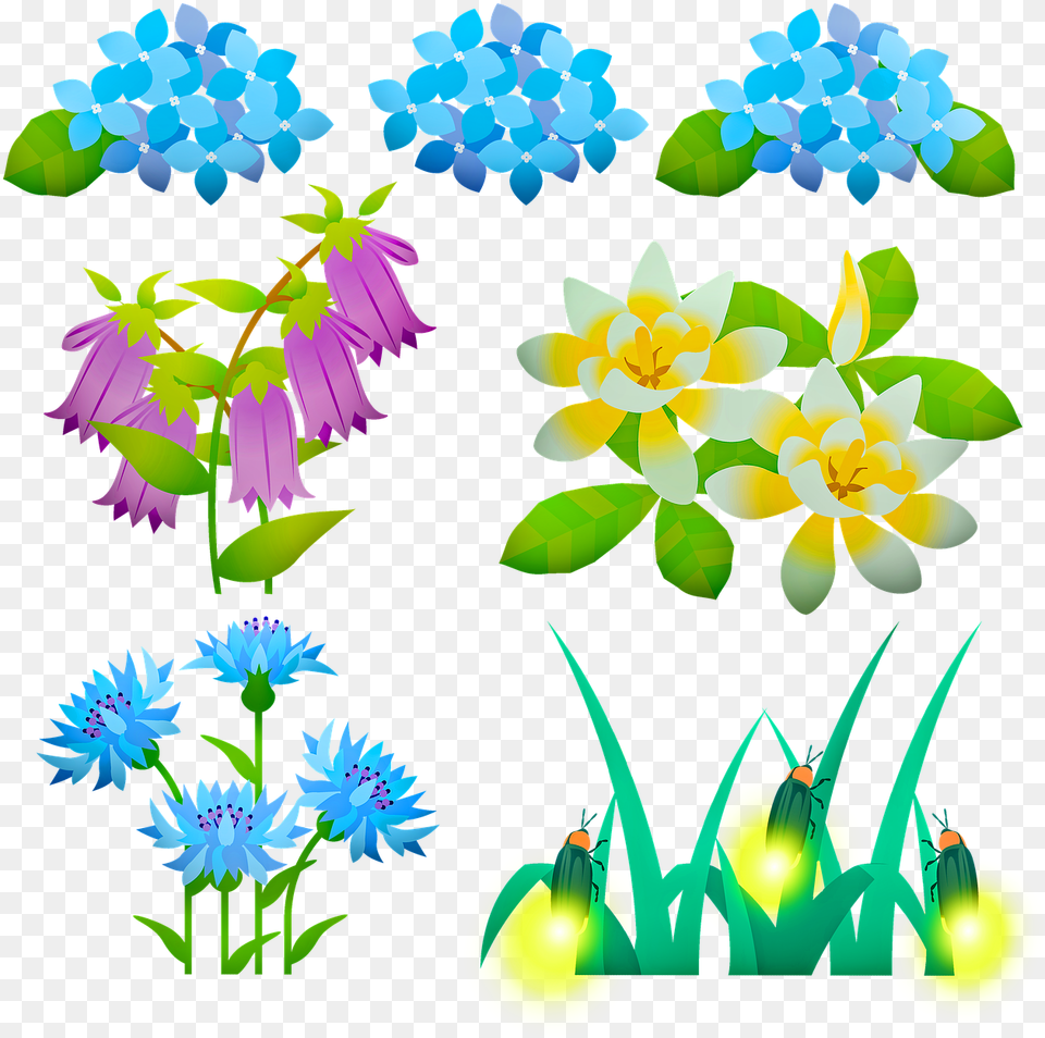 Flowers Fireflies Hydrangea, Art, Daisy, Floral Design, Flower Free Png