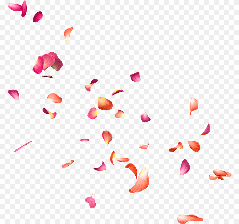 Flowers Floating, Flower, Paper, Petal, Plant Free Png Download