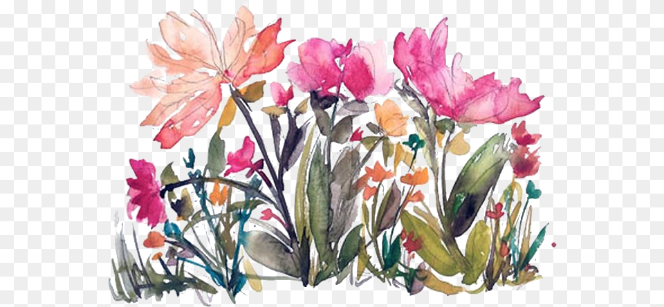 Flowers Floral And Watercolor Image Portable Network Graphics, Art, Floral Design, Pattern, Plant Free Transparent Png