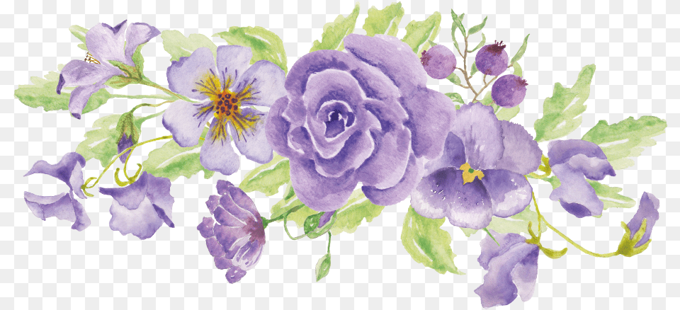Flowers Floral Ftestickers Purple Flower Watercolor Watercolor Transparent Purple Flower, Plant, Rose, Geranium, Pattern Free Png