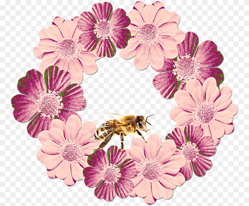 Flowers Floral Wreath Floral Decorations Plant Blumenkrnze, Animal, Bee, Invertebrate, Insect Free Png Download