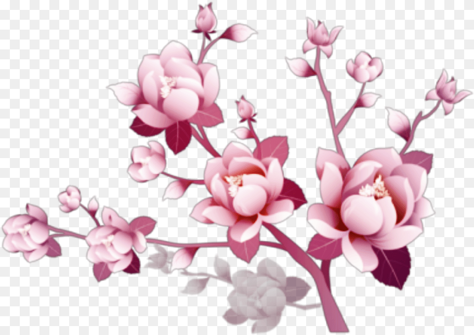 Flowers Flores Branch Rama Branches Ramas Limb Purple Flowers Transparent Background, Flower, Plant, Petal, Cherry Blossom Free Png