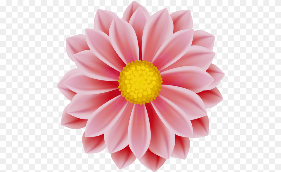 Flowers Flower Clip Art Gallery Clipart, Dahlia, Daisy, Petal, Plant Free Transparent Png