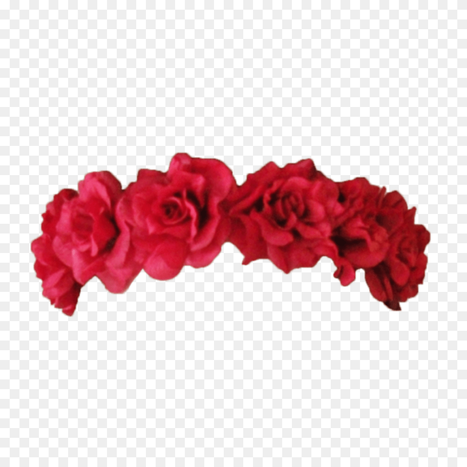Flowers Flower Crown Transparent, Carnation, Plant, Accessories, Rose Free Png