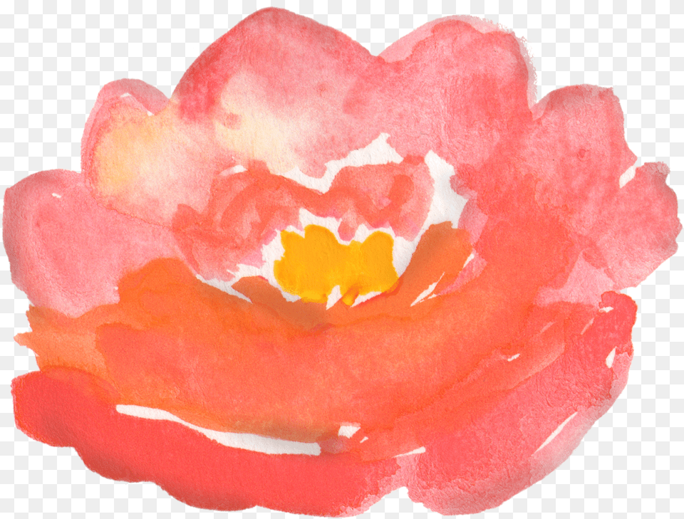 Flowers Flower Floral Watercolor Watercolors Design Floral Spray Clip Art, Petal, Plant, Rose Free Png Download