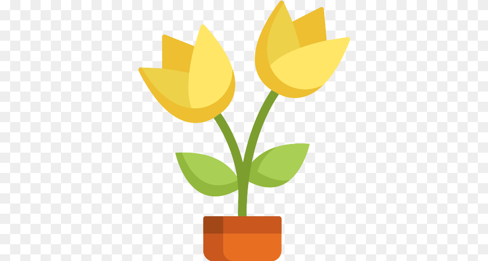 Flowers Flower Icon 4 Repo Icons Tulipa Humilis, Petal, Plant, Leaf Free Png Download