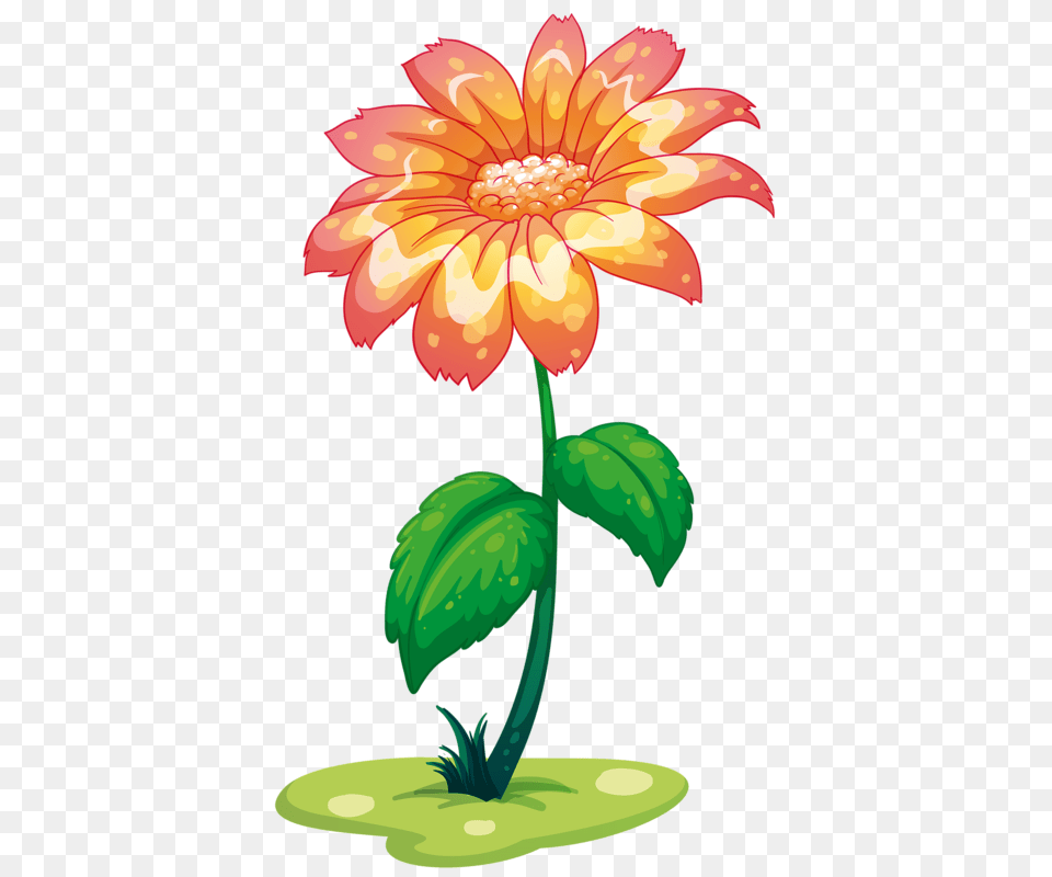 Flowers Flowers Giant, Dahlia, Daisy, Flower, Plant Free Png