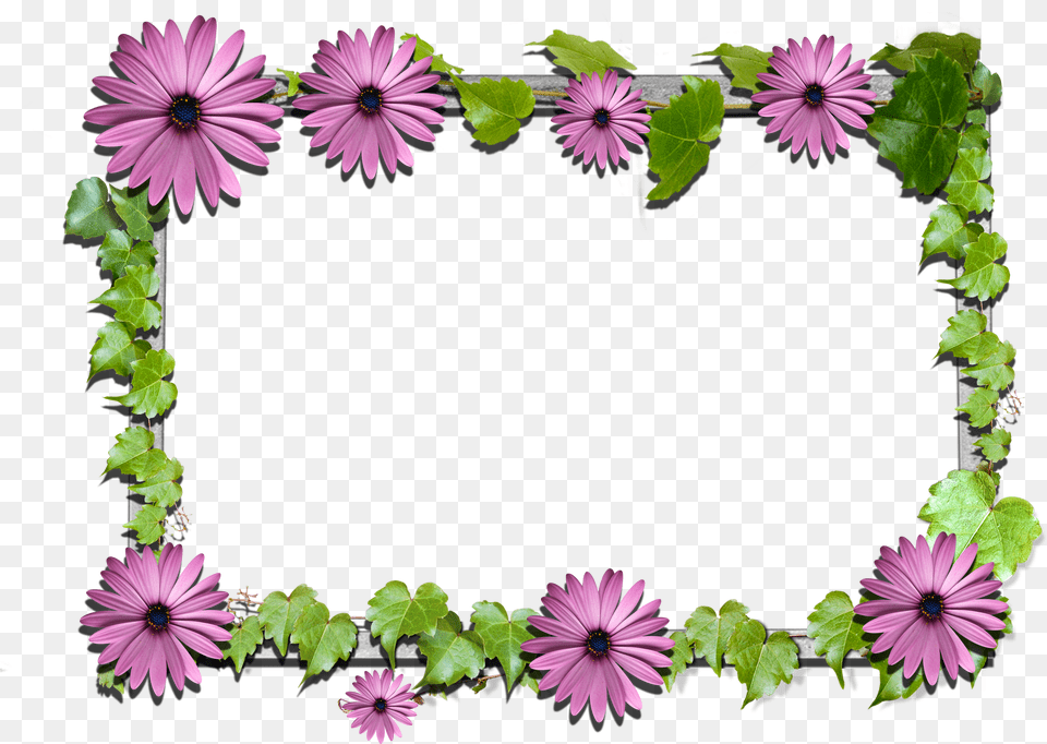 Flowers Frame Free Png Download