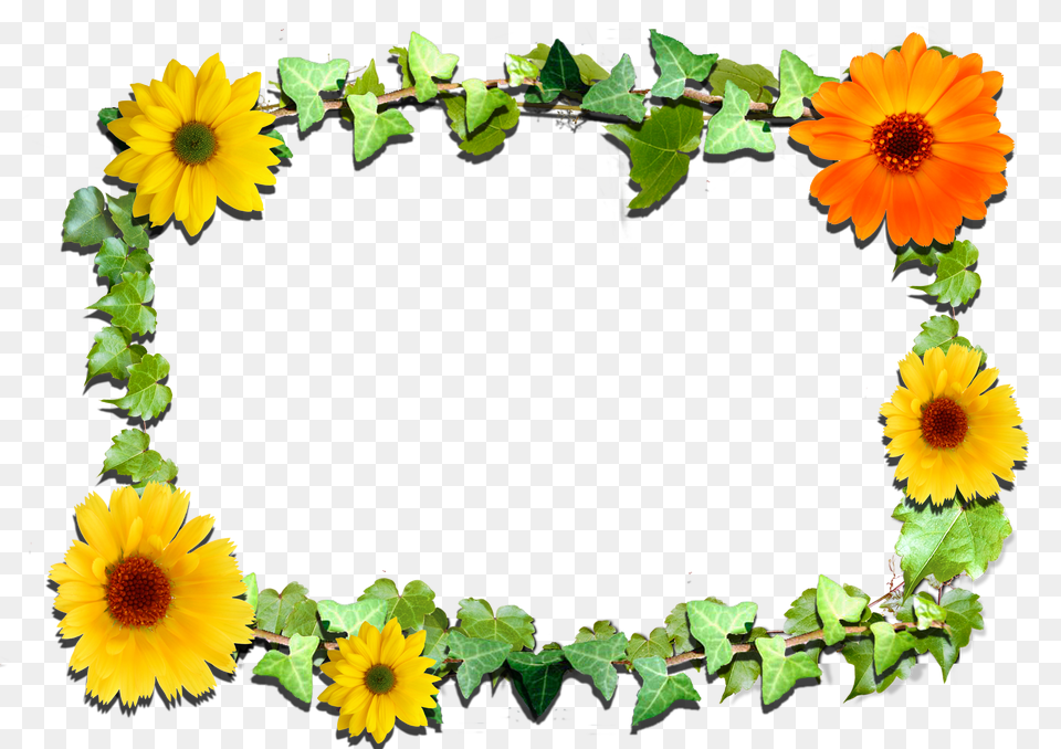 Flowers Frame Free Png