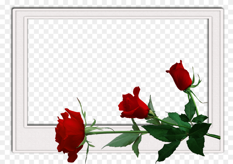 Flowers Frame, Food, Plant, Produce, Tomato Free Png