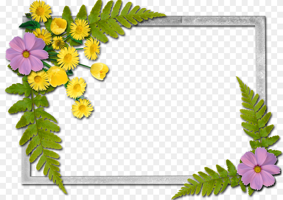 Flowers Frame, Heart Free Transparent Png