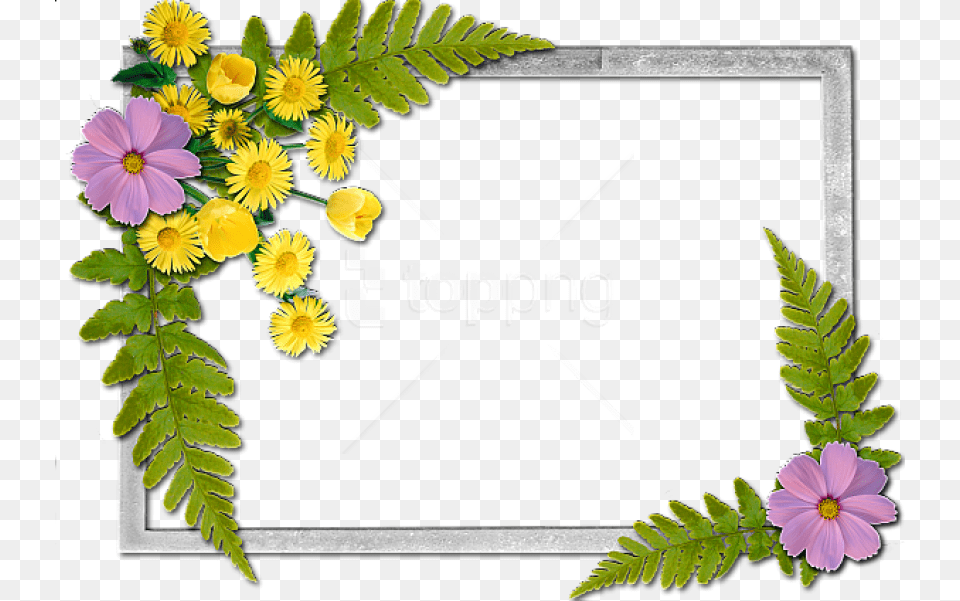 Flowers Frame Background Best Stock Photos, Leaf, Plant, Flower, Fern Free Transparent Png