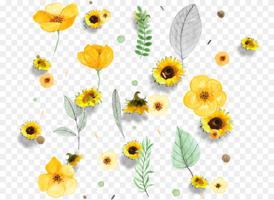 Flowers Frame Overlay Sunflowers Yellow Prayer Journal Praise And Thanks Prayer Requestjournalnotebook, Anemone, Plant, Petal, Leaf Free Transparent Png