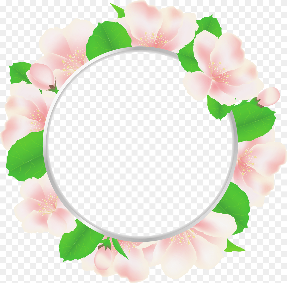 Flowers Frames In Circle, Flower, Petal, Plant, Birthday Cake Free Transparent Png