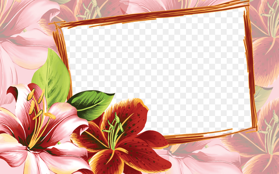 Flowers Frames Photoshop, Flower, Plant, Petal, Art Free Transparent Png