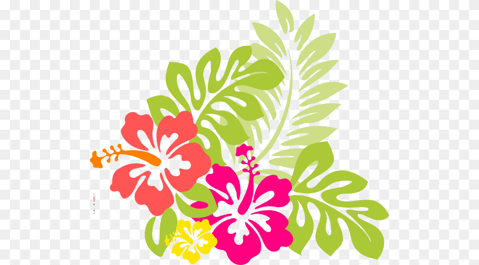 Flowers From Hawaii The Exotic Hibiscus Flower With Word Art, Floral Design, Graphics, Pattern, Plant Png