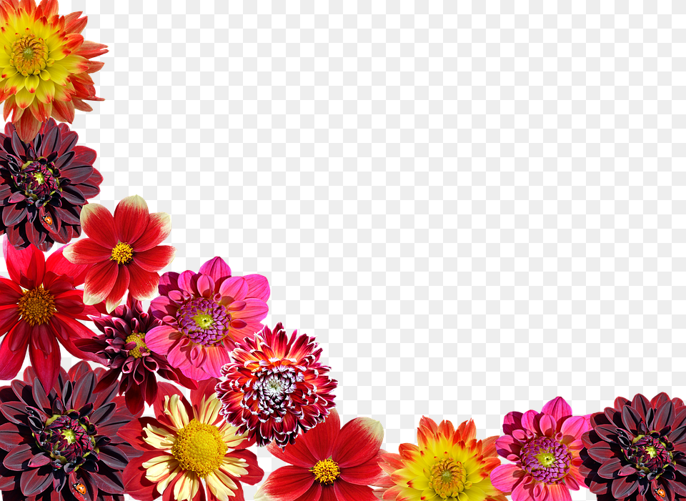 Flowers Garden Transparent, Plant, Petal, Flower Arrangement, Flower Free Png