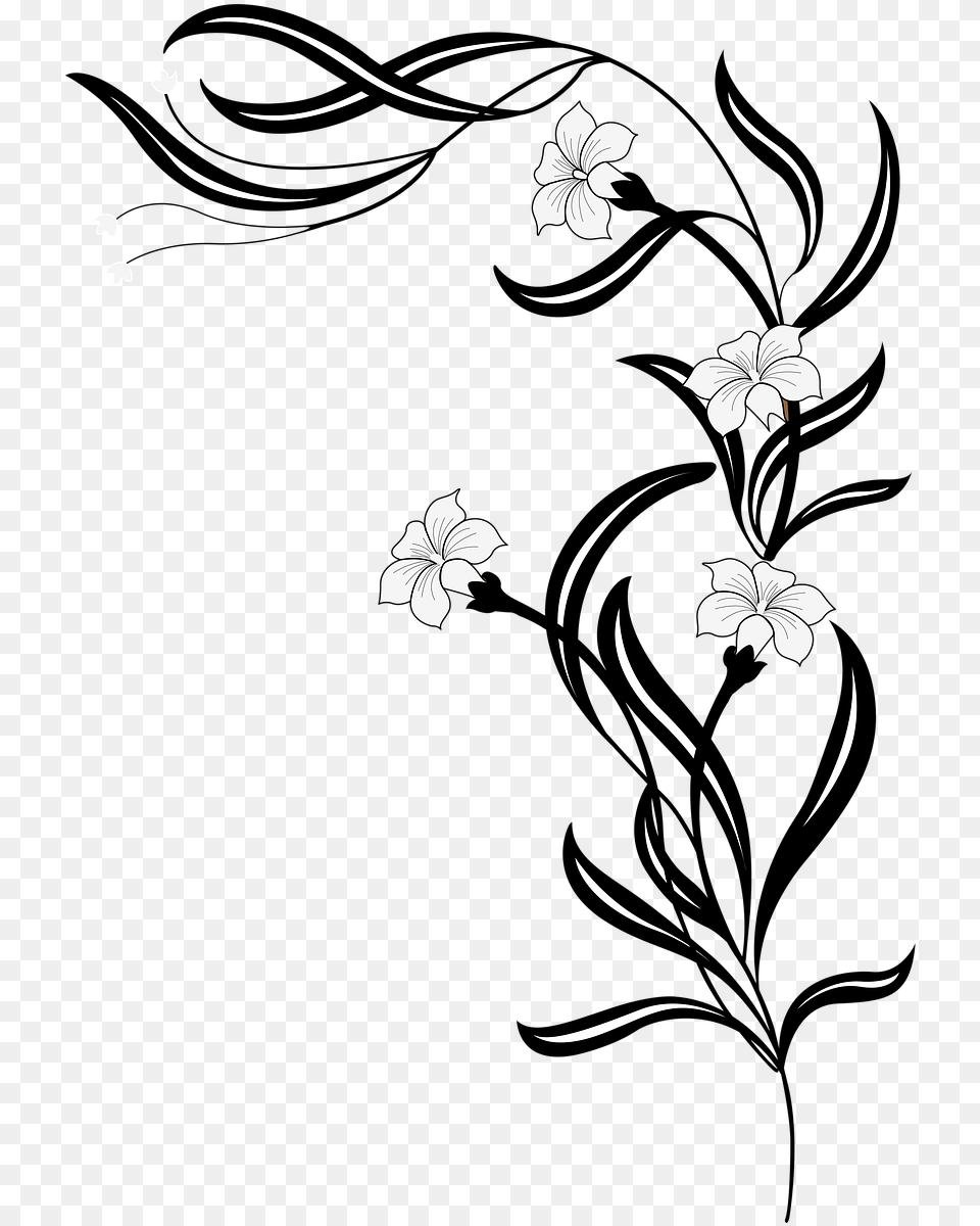 Flowers Garden White Picture Flower Vine Clipart Black And White, Art, Floral Design, Graphics, Pattern Free Png
