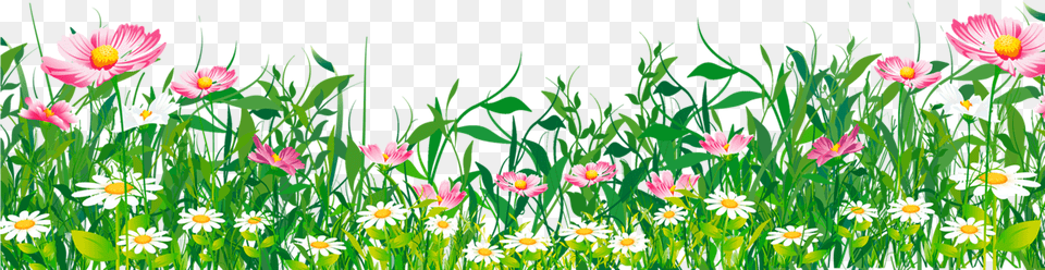 Flowers Grass Clipart Grass With Flowers, Daisy, Spring, Plant, Outdoors Free Transparent Png