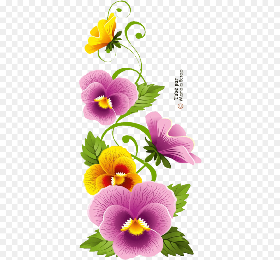 Flowers Hd, Flower, Plant, Pansy Free Png