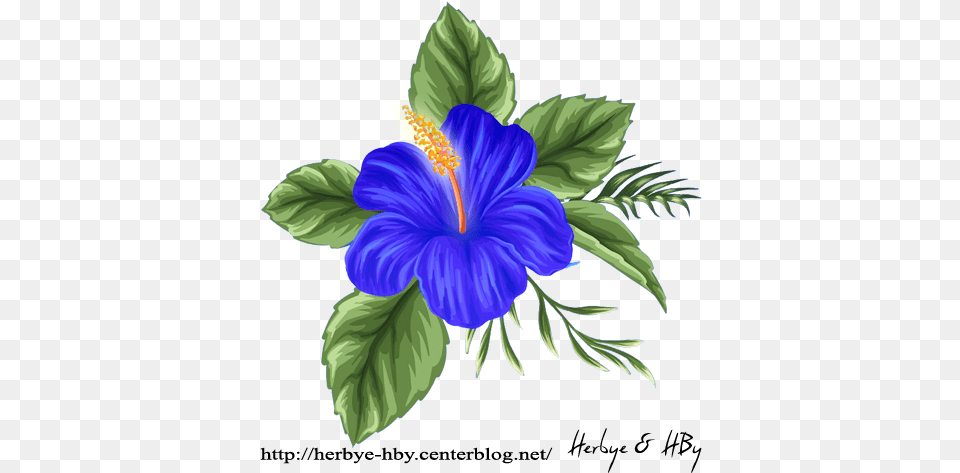 Flowers Hibiscus Srie Painting, Flower, Plant Png Image