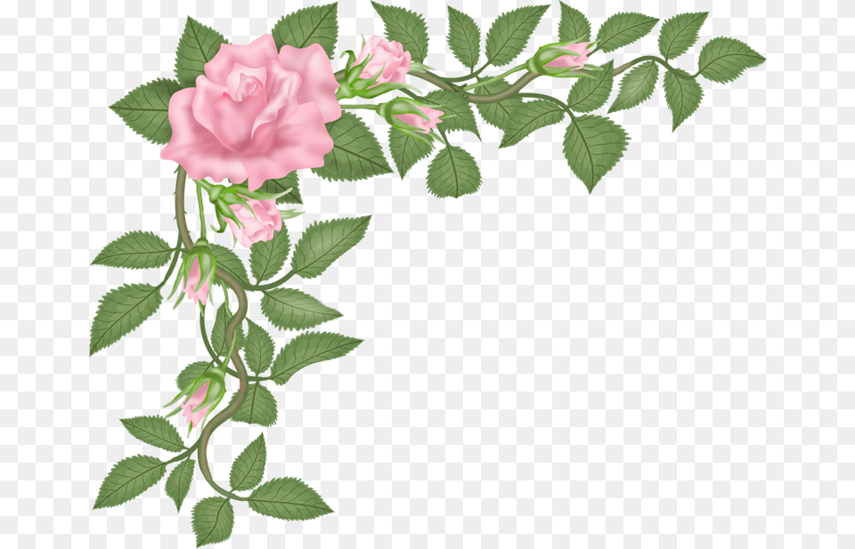 Flowers Hybrid Tea Rose, Art, Floral Design, Flower, Graphics Free Transparent Png