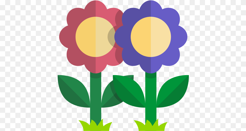 Flowers Icon Flowers Flat Icon, Flower, Plant, Daisy, Leaf Free Png