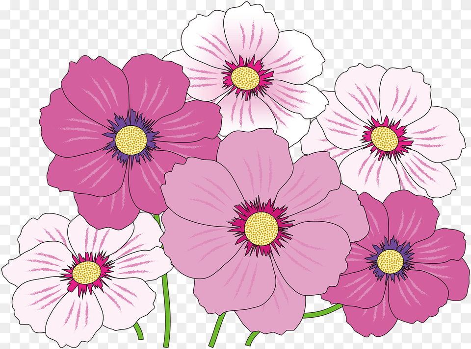 Flowers Icon Pink, Anemone, Anther, Daisy, Flower Png