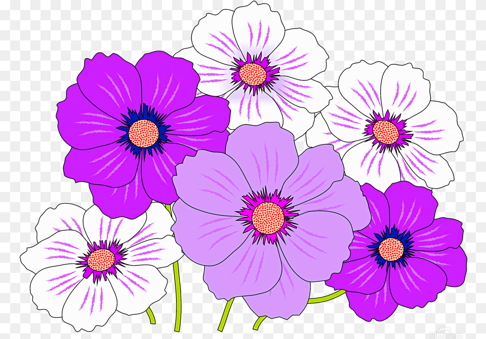 Flowers Icon Pink Clipart Colorful Flowers Print, Anemone, Anther, Daisy, Flower Png