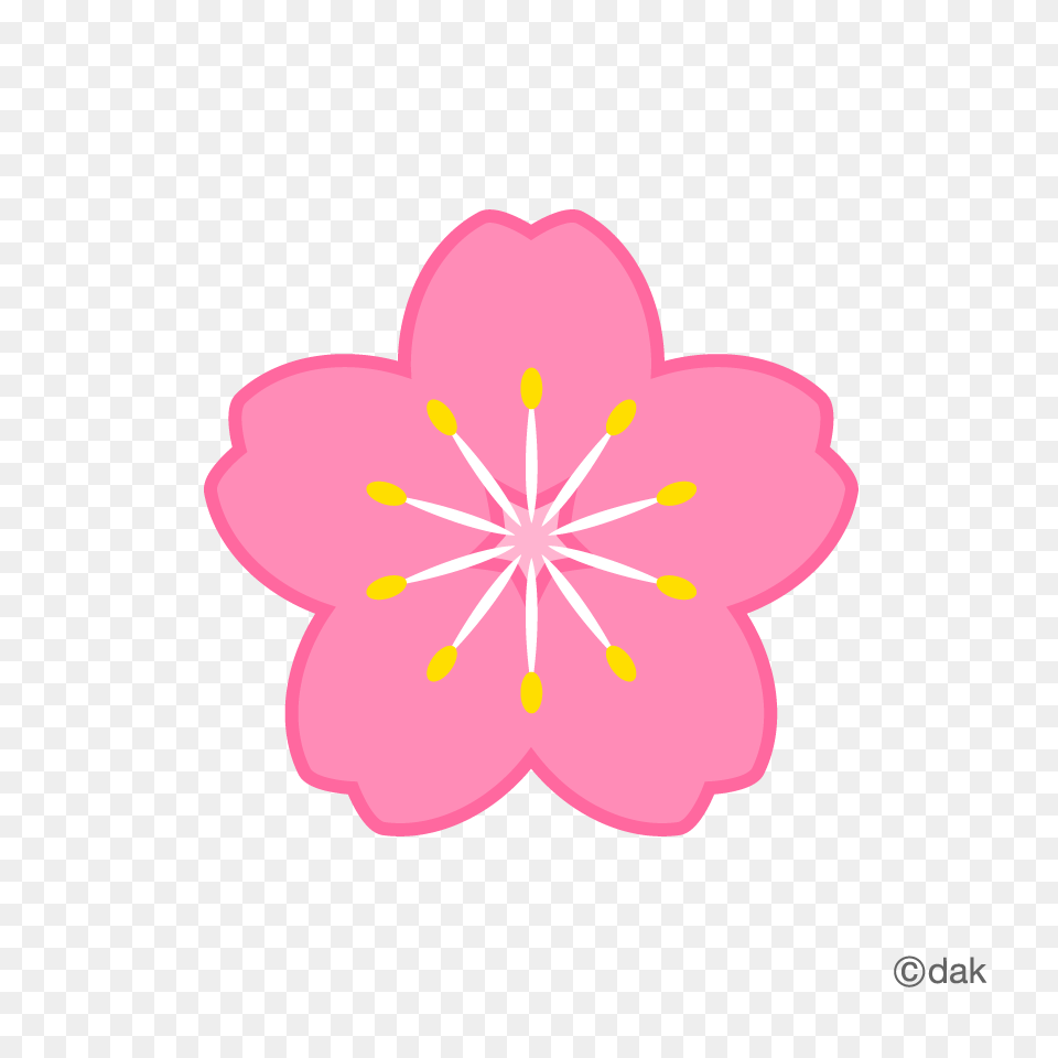 Flowers Icons, Anther, Flower, Plant, Petal Png