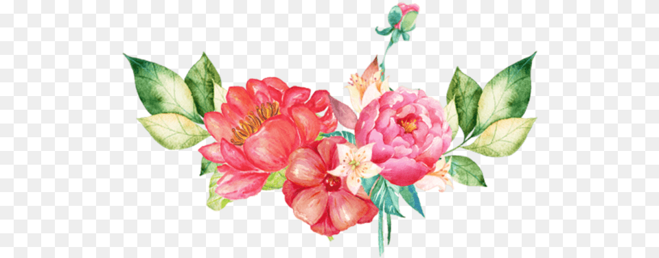 Flowers Images Searchpng Pink Floral Watercolor, Flower Bouquet, Plant, Flower, Flower Arrangement Free Png Download