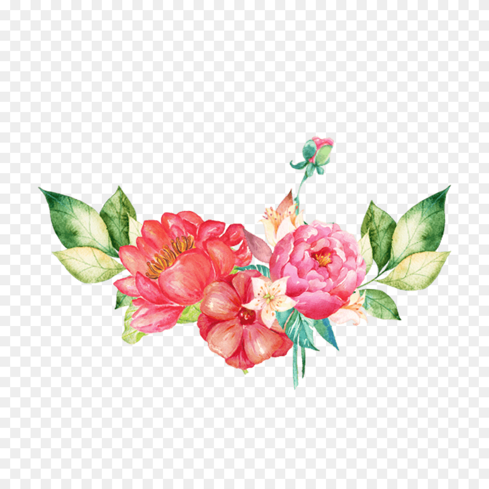 Flowers Images Free Download Searchpngcom Flower Watercolor Free, Flower Bouquet, Plant, Flower Arrangement, Pattern Png Image