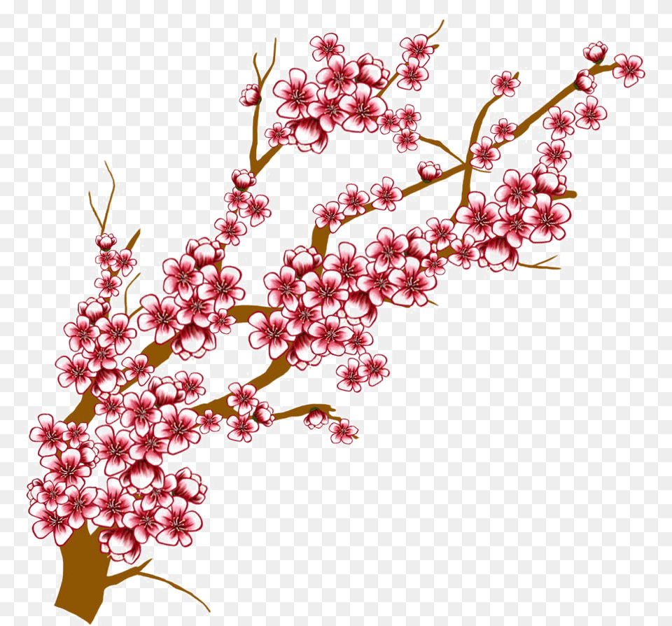 Flowers Images Transparent Download, Flower, Plant, Cherry Blossom, Food Free Png