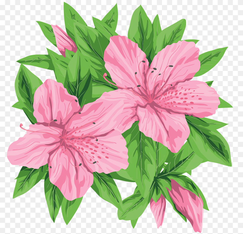 Flowers In Art Images, Flower, Plant, Hibiscus Png Image