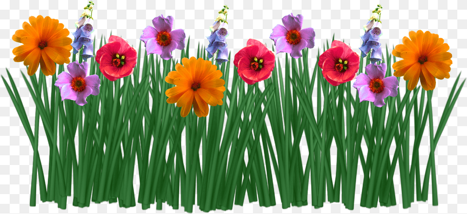 Flowers In Grass Drawing Free Png Download