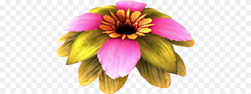 Flowers In Legend Of Zelda, Plant, Petal, Flower, Dahlia Png Image